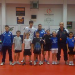 Stage Treviso